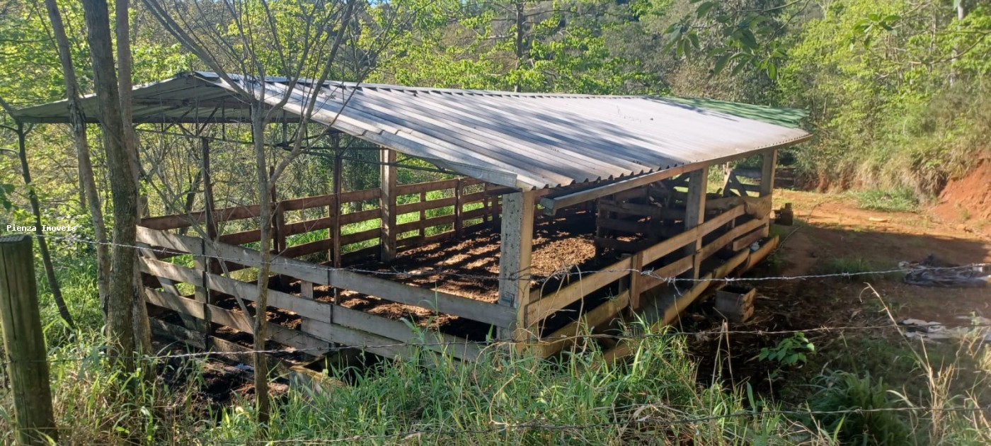 Fazenda, 9 hectares - Foto 4