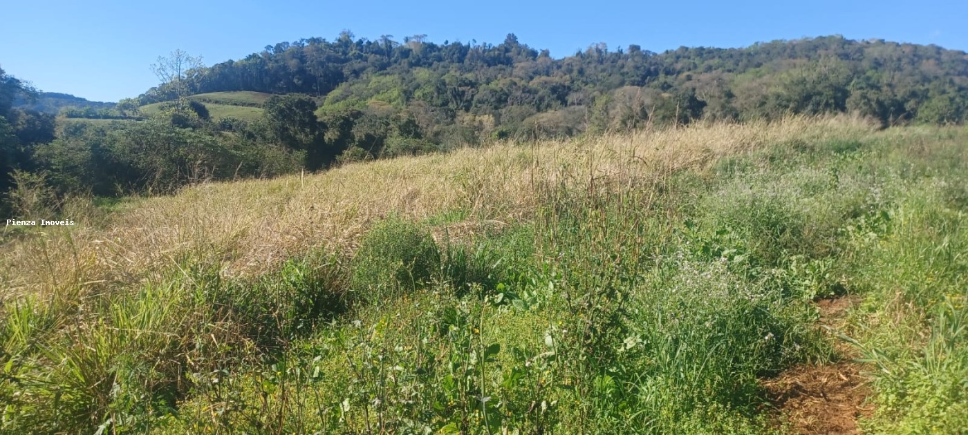 Fazenda, 9 hectares - Foto 10