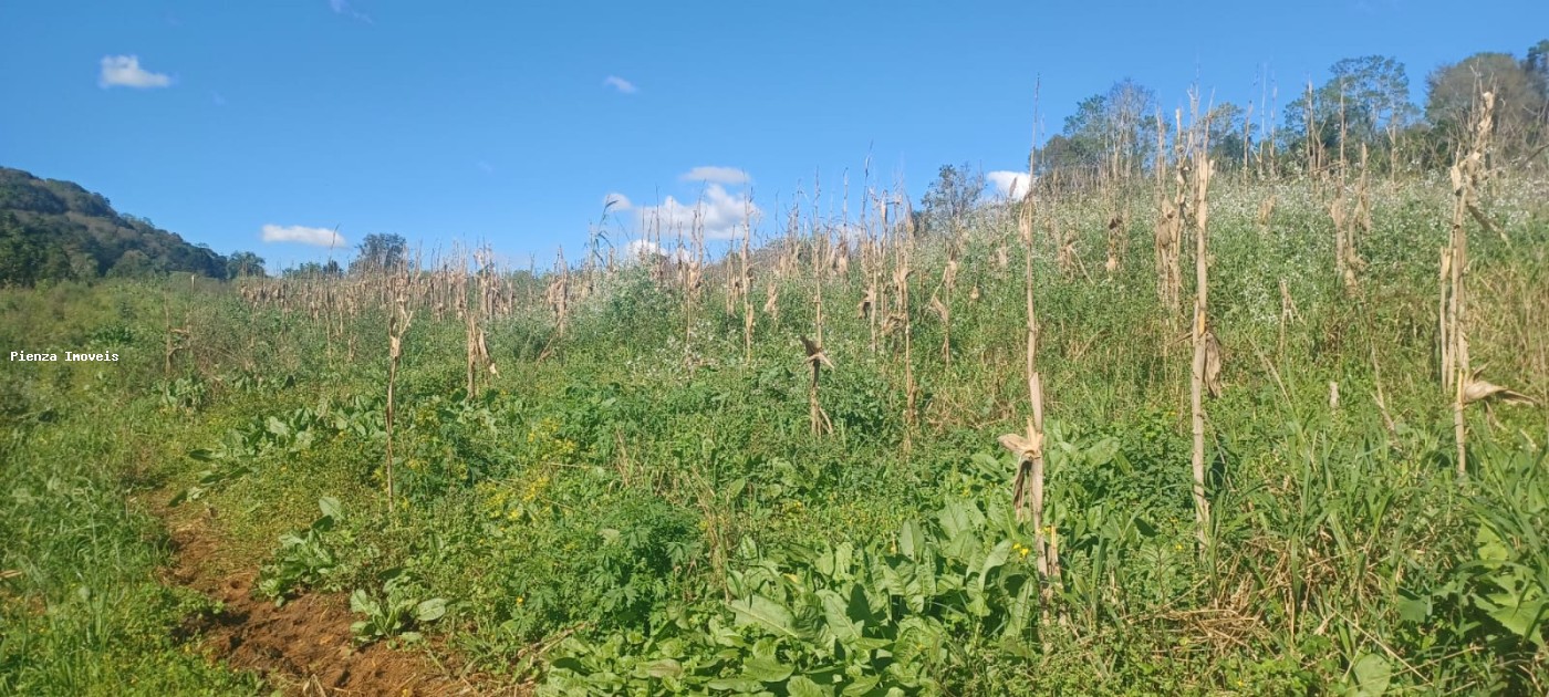 Fazenda, 9 hectares - Foto 11