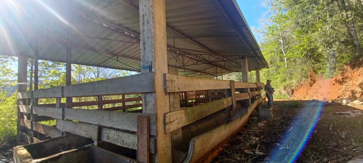 Fazenda, 9 hectares - Foto 9