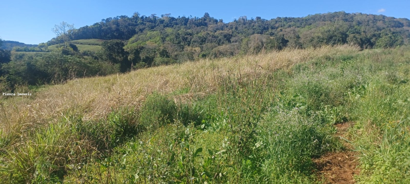 Fazenda, 9 hectares - Foto 12