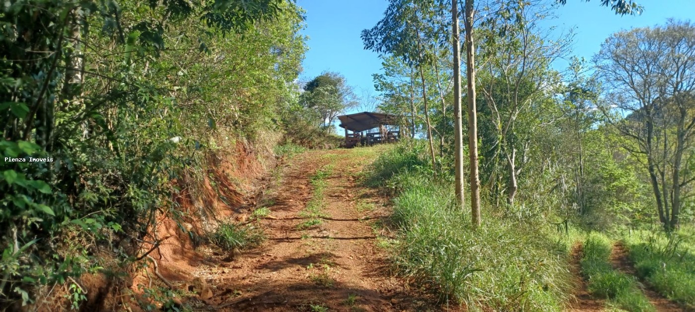 Fazenda, 9 hectares - Foto 13