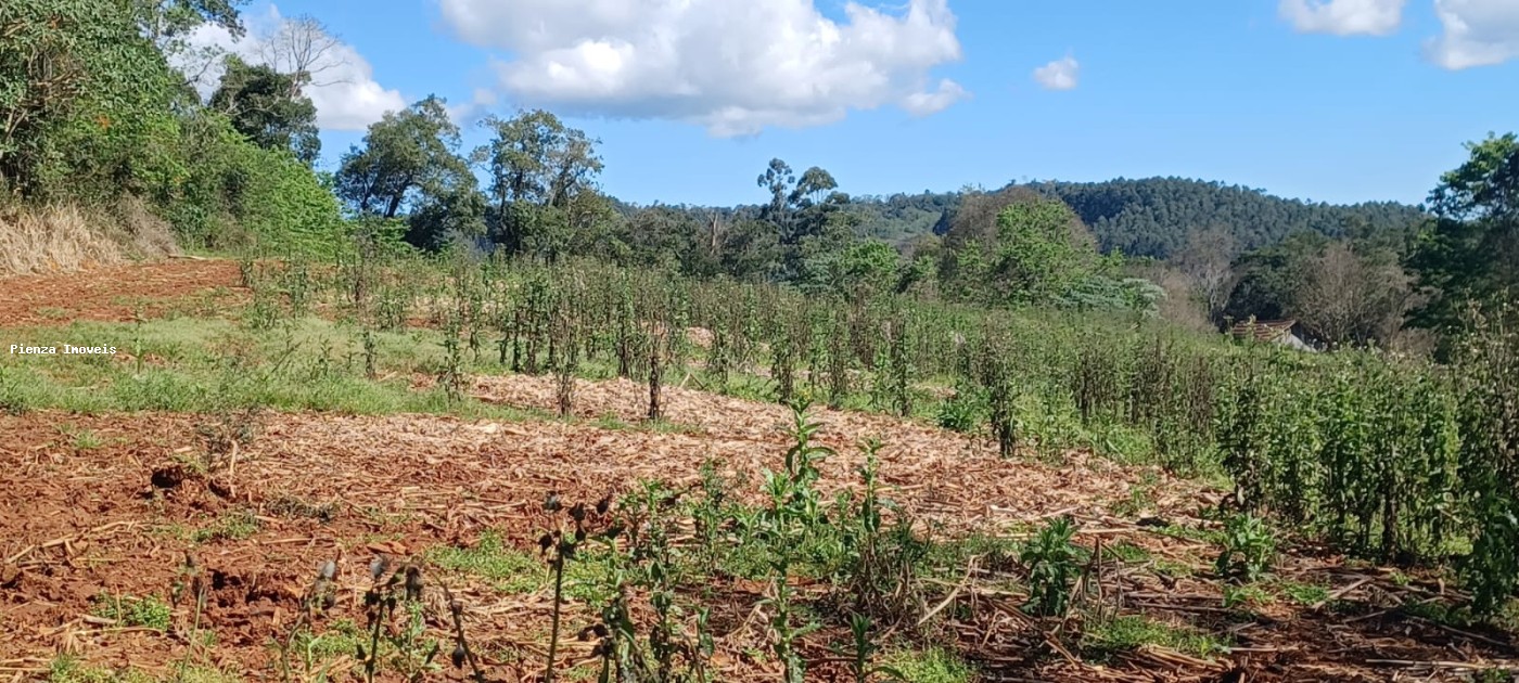 Fazenda, 9 hectares - Foto 15