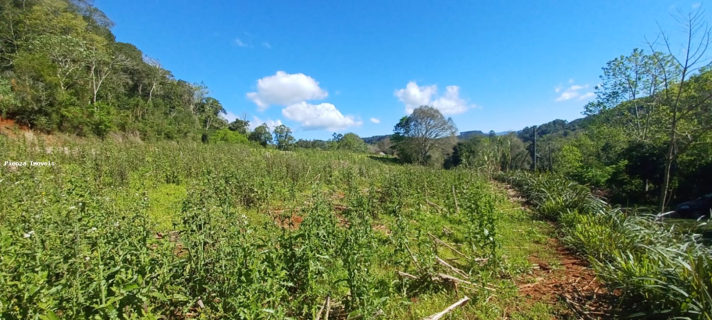Fazenda, 9 hectares - Foto 14